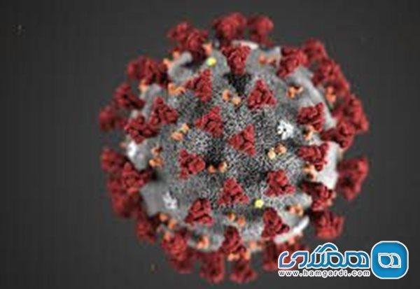 علائم وخیم شدن کرونا چیست؟ علائم وخیم شدن کرونا چیست؟