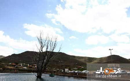 شاه بلاغی سلطانیه؛ چشمه ای جوشان و دیدنی در اردبیل، عکس