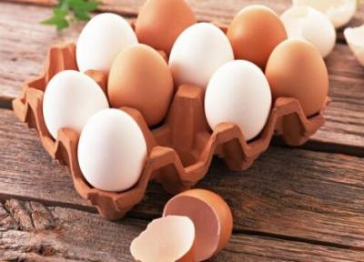 توقیف محموله 14 تنی تخم مرغ فاقد مجوز در رودسر