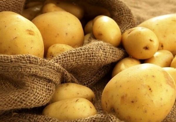شروع عرضه گسترده سیب زمینی با قیمت 10 هزار تومان در میادین