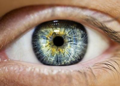 پروژه ای اروپایی برای ساخت پروتز های شبکیه چشم با یاری فناوری نانو