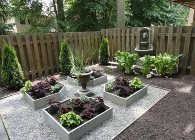 چند گیاه باغچه ای نامیرا!
