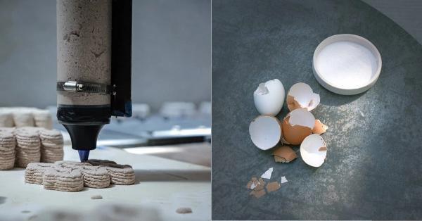 یک کاربرد جالب و فناورانه برای پوسته تخم مرغ